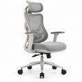 Ergonomischer Bürostuhl mit Kopfstütze, Netzrückenlehne und Armlehnen, Grau/Hellgrau/Silber/Schwarz, 66 x 66 x 116–126 cm